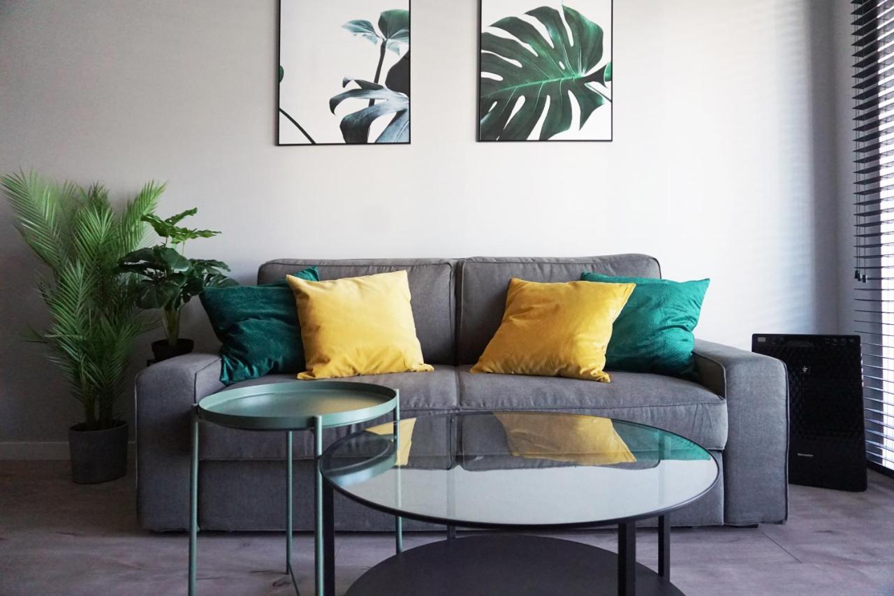 Apartament 204 קולובז'ג מראה חיצוני תמונה